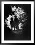 Children Of Photographer With Eugene Smith Walking Hand In Hand In Woods Behind His Home by W. Eugene Smith Limited Edition Pricing Art Print