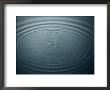 Ripples In The Water by Todd Gipstein Limited Edition Print