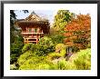 Japanese Tea Garden, Golden Gate Park, San Francisco, California, Usa by Michele Westmorland Limited Edition Print