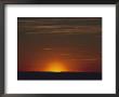 Sunrise In The Desert, Arizona by David Edwards Limited Edition Pricing Art Print
