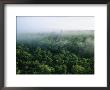 A View Of The Mayan Ruins At Tikal by Kenneth Garrett Limited Edition Print