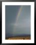 A Rainbow Touches Down Over Rainbow Plateau Following A Summer Thunder Storm by Bill Hatcher Limited Edition Pricing Art Print