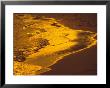 The Surf Along A Beach At Sunset by Todd Gipstein Limited Edition Print