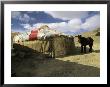 A Yurt With A Colorful Roof In Bayan Olgiy, Mongolia by Ed George Limited Edition Print