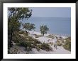 Indiana Dunes State Park Provides A Playground On Lake Michigan by B. Anthony Stewart Limited Edition Print