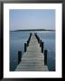 View On A Clear Summer Day Of A Dock Extending Out Into A Bay by Taylor S. Kennedy Limited Edition Print