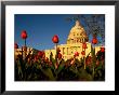 View Of The Capitol Building by Sam Kittner Limited Edition Print