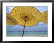 Beach From Underneath Yellow Umbrellas At The Amanpuri Hotel by Jodi Cobb Limited Edition Print