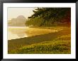 Hazy Shot Of The Tidal Basin At Potomac Park by Kenneth Garrett Limited Edition Print