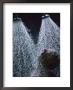 Two Showerheads Release A Torrent Of Water On An Open-Mouthed Man by Jonathan Blair Limited Edition Pricing Art Print
