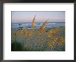 Beach Scene, Atlantic Coast, New Jersey by Steve Winter Limited Edition Print