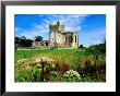 Tintern Abbey Near New Ross, New Ross, Ireland by Richard Cummins Limited Edition Pricing Art Print