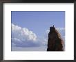 A Man Stands Atop Dark Angel by Bill Hatcher Limited Edition Print