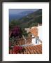 Alonnisos, A Small Greek Island Near Skiathos, Greece by R H Productions Limited Edition Print