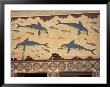 Dolphins, Knossos, Crete, Greek Islands, Greece by G Richardson Limited Edition Print