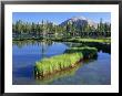 Peninsula, Margo Lake In Ashley National Forest, High Uintas Wilderness, Utah, Usa by Scott T. Smith Limited Edition Print