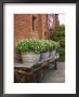 Flowers On Old Baggage Wagon, Vintage 1870 Shops, Napa Valley, California, Usa by John Alves Limited Edition Print