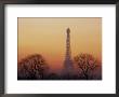Eiffel Tower, Paris, France by David Barnes Limited Edition Print