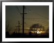 Row Of Telephone Poles With Jet Contrails And Sunset In The Distance by Todd Gipstein Limited Edition Print