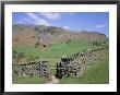 Stone Wall, Fields And Lingmoor Fell, Little Langdale, Lake District, Cumbria, England by Roy Rainford Limited Edition Print