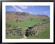 Stone Wall, Fields And Lingmoor Fell, Little Langdale, Lake District, Cumbria, England by Roy Rainford Limited Edition Pricing Art Print