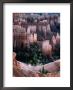 Overhead Of Hoodoo Limestone, Sandstone And Mudstone Formations, Bryce Canyon National Park by Wes Walker Limited Edition Print