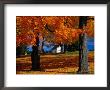 Autumn In Barre, Usa by Izzet Keribar Limited Edition Print