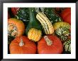 Autumn Colors Abound In This Stack Of Pumpkins And Squash by Stephen St. John Limited Edition Print