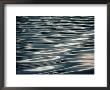 Sunlight Reflecting On Rippling Water by Todd Gipstein Limited Edition Print