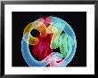 Soft Focus Distorts A Neon Flamingo In A Blue Circle by Stephen St. John Limited Edition Print