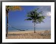 Beach Scene At The Inn At Bahama Bay, Grand Bahama Island, Caribbean by Nik Wheeler Limited Edition Print