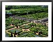 Garden At Villandry Chateau, Loire Valley, by David Barnes Limited Edition Print