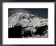 Snowy Mt. Rainer, Washington, Usa by Michael Brown Limited Edition Pricing Art Print