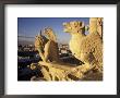 Gargoyles Of The Notre Dame Cathedral, Paris, France by David Barnes Limited Edition Print