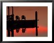 Sunrise, Isle Of Hope, Savannah, Georgia, Usa by Joanne Wells Limited Edition Pricing Art Print