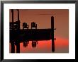 Sunrise, Isle Of Hope, Savannah, Georgia, Usa by Joanne Wells Limited Edition Print