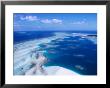 Coral Reef, Torres Strait Islands, Torres Strait Islands, Queensland, Australia by Oliver Strewe Limited Edition Pricing Art Print