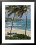 Sam Lords Castle, Palms And Beach, Barbados, West Indies, Caribbean, Central America by J Lightfoot Limited Edition Print