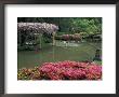 Japanese Garden With Rhododendrons And Wysteria, Seattle, Washington, Usa by Jamie & Judy Wild Limited Edition Print