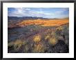 Painted Hills Unit, John Day Fossil Beds National Monument, Oregon, Usa by Brent Bergherm Limited Edition Print