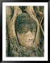 Head Of Buddha Statue Overgrown With Tree Roots, Wat Phra Mahathat, Ayuthaya (Ayutthaya), Thailand by Marco Simoni Limited Edition Print