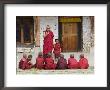 Buddhist Monks, Karchu Dratsang Monastery, Jankar, Bumthang, Bhutan by Angelo Cavalli Limited Edition Print