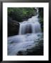 Upper Cascades Falls Flows Down A Mountain In Hanging Rock State Park by Raymond Gehman Limited Edition Print