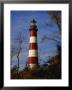 The Assateague Island Lighthouse Against A Blue Sky by Raymond Gehman Limited Edition Pricing Art Print