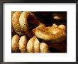 Sesame Seed Bagels by Richard Nowitz Limited Edition Print
