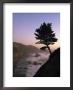 Scenic View Of The Oregon Coast At Twilight by Phil Schermeister Limited Edition Print