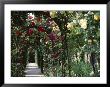 Arches Covered With Roses, Generalife Gardens, Alhambra, Granada by Nedra Westwater Limited Edition Pricing Art Print