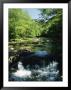 Waterfalls On The Eno River Passing Through A Hardwood Forest by Raymond Gehman Limited Edition Print