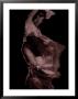 Flamenco Dancers by Tim Kahane Limited Edition Print