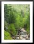 Spring On The Pemigewasset River, Flume Gorge, Franconia Notch State Park, New Hampshire, Usa by Jerry & Marcy Monkman Limited Edition Print